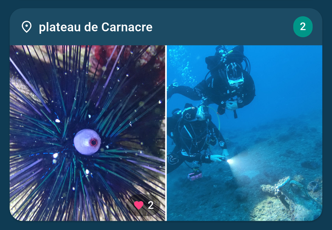 Capture DiveHub — Likes & commentaires